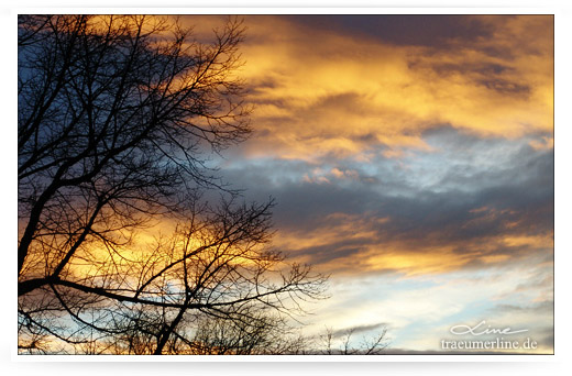 P52 - Woche 10 - Wolkenmeer