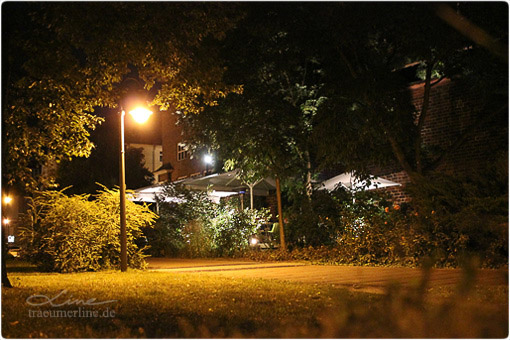 P52 - Woche 34 - Mauergeflüster