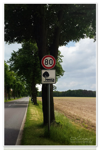 P52 - Woche 20 - Über Stock und Stein