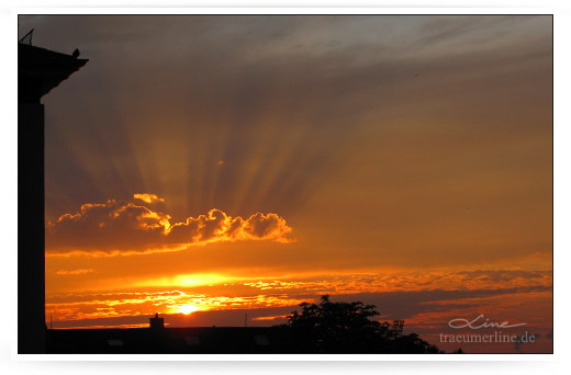 w10_wolkenmeer_copyright_bild5