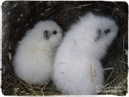 Elton und seine Schwester