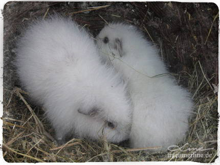 Elton und seine Schwester