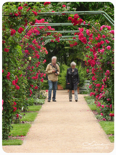 Rosengartenfesttage Forst 2013