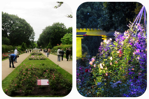 Rosengartenfesttage Forst 2013