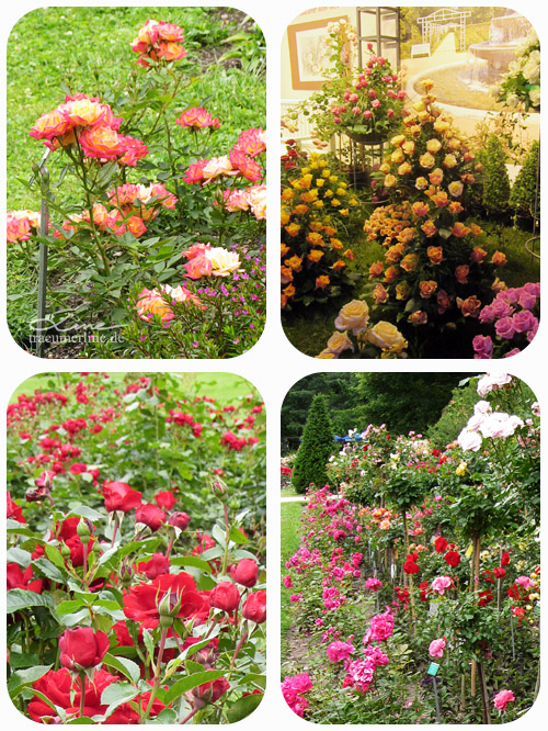 Rosengartenfesttage Forst 2013