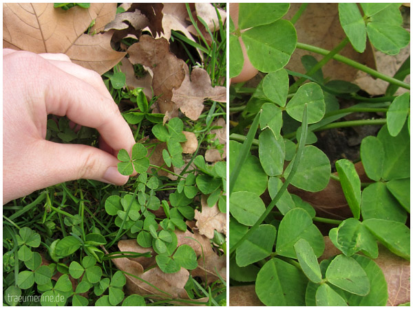 12 in 2014: Das Glück finden