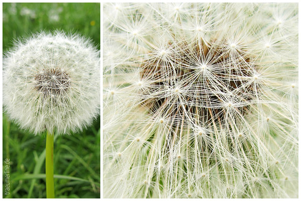 12 in 2014: fotografieren