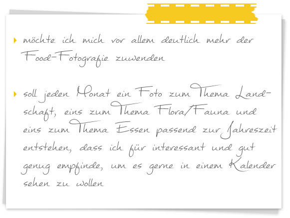 12 in 2014: Fotografieren