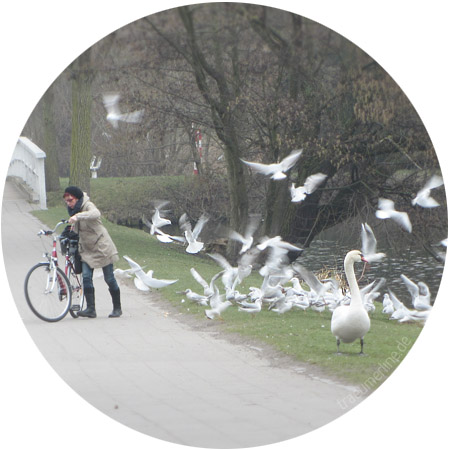 Attacke!!! Attacke!!!